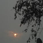 Vraj-Yatra-2014- (1509)